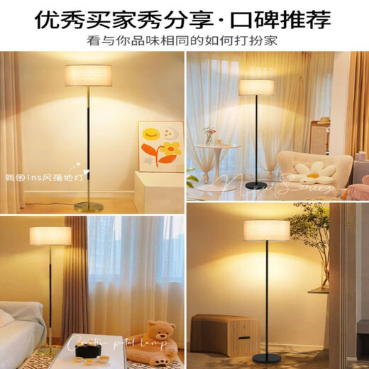 花乐集落地灯灯具现代简约客厅卧室立式落地台灯氛围法式风床头灯跨境 1396-三色-12W