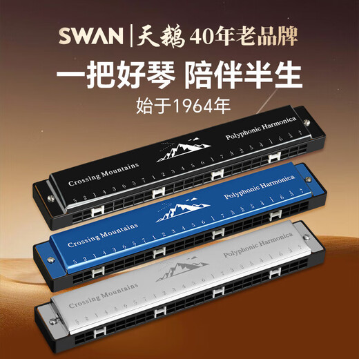 天鹅（SWAN）28孔复音口琴初学者入门学生专业演奏口琴C调黑色