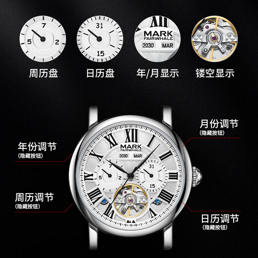 Mark Huafei Watch Men's Automatic Mechanical Watch Business Style Swiss Quality Student National Watch Waterproof Watch New Year's Gift 6017