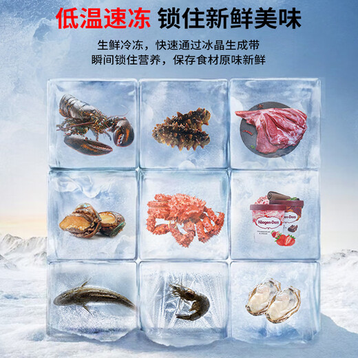 美凌蓝冰一级能效卧式冰柜冷冻柜商用大容量冷藏冷冻两用大冷柜保鲜展示柜雪糕柜双温冰箱小型冰柜家用 1028款单温加宽【一级能效】