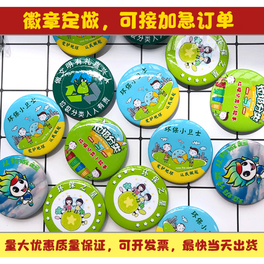 DL 1998 Fat Dong Lai's same environmental protection medal customized garbage classification promotion brooch gift Environmental Protection Little Guard 2