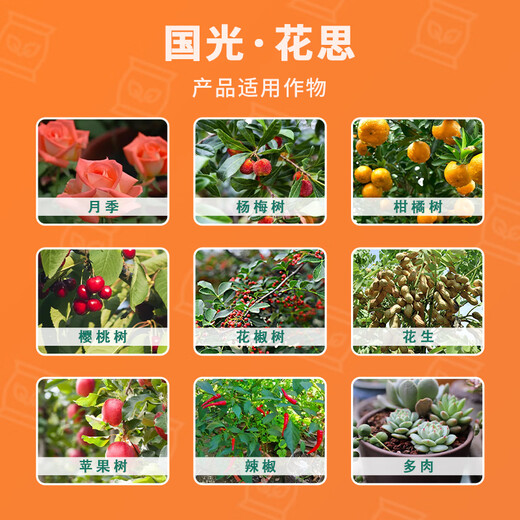Guoguang Guoguang Huasi benzylaminopurine cytokinin rose citrus fruit tree flower fruit expansion promotes flowering and bursting buds wholesale Guoguang Huasi 25 ml * 10 bottles