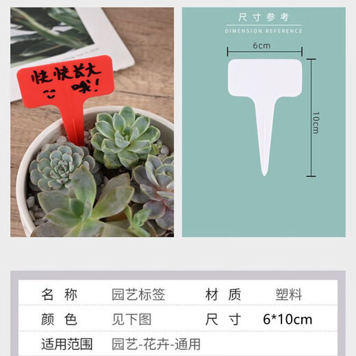 Наземная брендовая садовая этикетка, идентификационная этикетка для суккулентов, Т-образная цветочная этикетка, запись названия растения, водонепроницаемый пластик, большой утолщенный белый цвет, 20 шт.