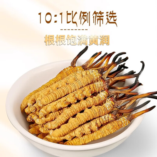 
Cordyceps sinensis cordyceps gift box 2 pieces per gram of Cordyceps dry goods Cordyceps supplement gift gift 50 pieces 50 pieces [3 pieces 1 grams] Gift box Cordyceps