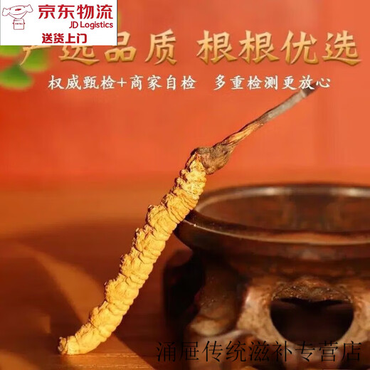 Peking Tongrentang [Schwarzer Freitag] Cordyceps sinensis Cordyceps Trockenwaren zu Beginn der ersten Periode des Weins und machen Suppe. Wählte zwei Cordyceps ein Gramm aus [20 Taschen Stücke