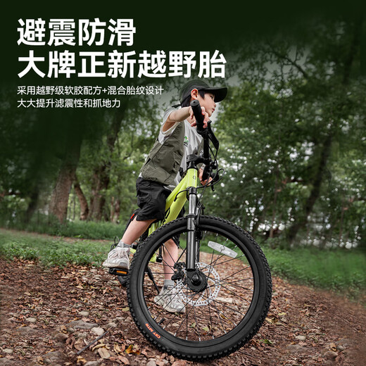 Beijing-made Lingyue mountain bike OCC8-12-13 years old children's bicycle student variable speed 22-inch lime green