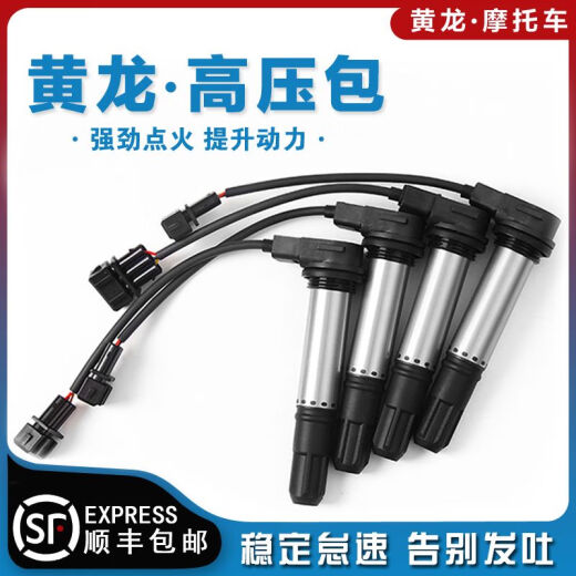 Adaptiert an Huanglong 600 Hochspannungspaket Flash 300 Chase 550 Scooter 700 Race 600 800 9214 Motorradzündungsspule Huanglong