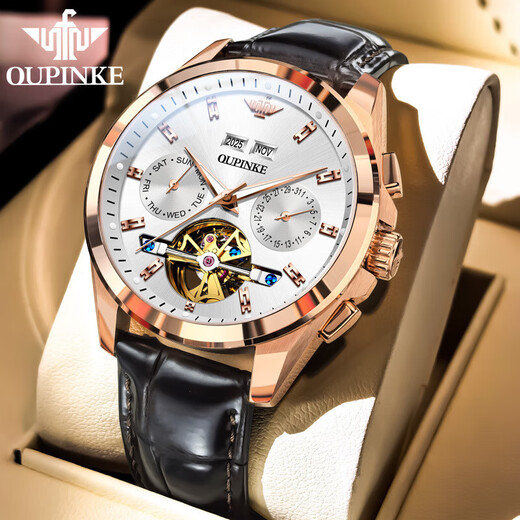 OUPINKE NOUVELLE MONTRE MENS MECANICAL MECANICAL WARTY ENTIÈREMENT AUTALATIQUE MULTIFONNELLE LUMINEMENT ARRÉPRÉPORT BUSINESS WORT Gift pour mari [Version améliorée] Produit 3291 Brown Leather Rose White Men
