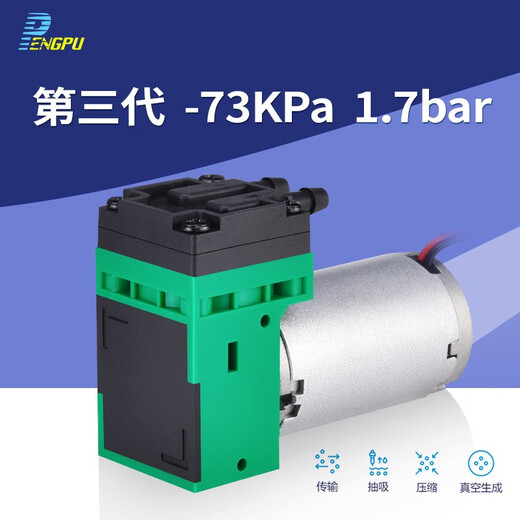 PENGPU微型真空泵12v负压泵小型抽打气泵气体分析采样隔膜泵电动24v无油 12V 4LPM G4DC12170 真空/压缩/