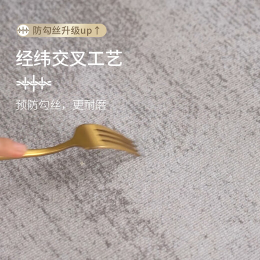 Budis carpet living room light luxury high-end sofa coffee table large size waterproof anti-slip no-wash and wipeable 2025 new floor mat