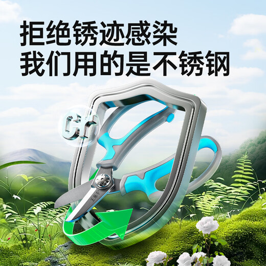 Wang Mazi floral scissors, pruning shears, gardening scissors, fruit tree potted flowers, flower branch scissors, professional floral scissors