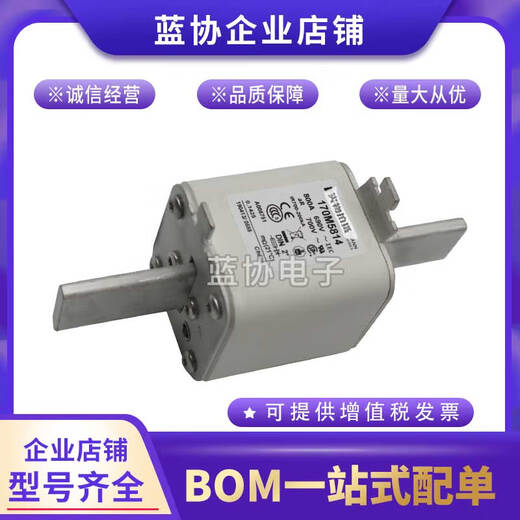 SMVP Basman fuse Basman fuse ready in stock 170M5809D