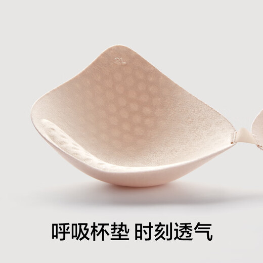 有棵树【2件起购】女士内衣女背心款软支撑薄款无钢圈收副乳透气文胸 浅海蓝 M