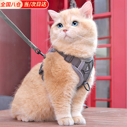 Huaneng Cat Leash Vest Type Harness Reflective and Breathable When Walking Cats Rope British Short Ragdoll Pet Leash M chest 34-40cm (recommended 8.5-14 Jin Jin equals about 0.5 kg)