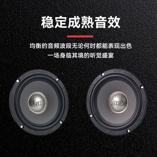 丹拿.爵士 TANNER.JAZZ柏林之声汽车门全车载音响喇叭升级改装套装6.5寸DSP功放哈曼卡顿 前门2中低音+2高音