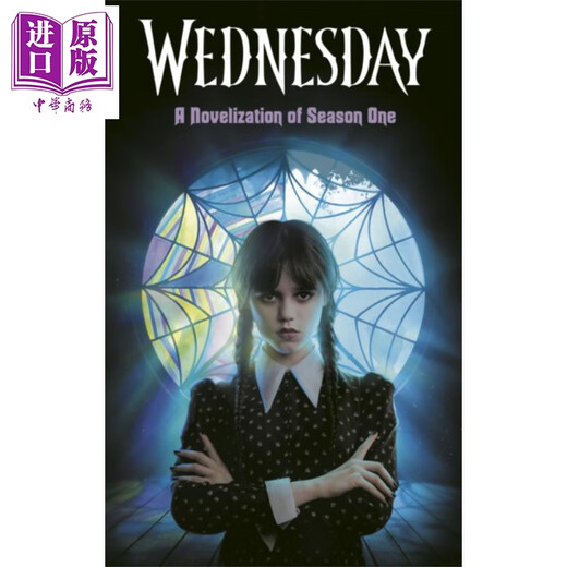 星期三 第一季小说版 Wednesday A Novelization of Season One 英文原版 Tehlor Kay Mejia 悬疑小说