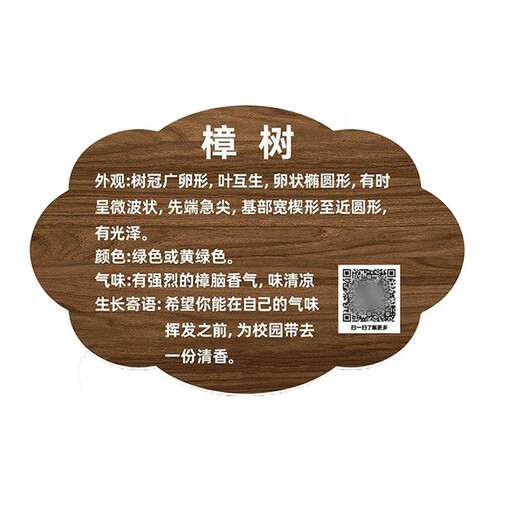 Tree tag, plant label, nameplate, garden tree name introduction, custom acrylic tree name, Arbor Day 20x15cm, preferred material, more durable