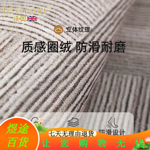 徕奥leerout入户门地垫进门地毯门口家用门垫防滑客厅玄关脚垫可裁剪 金典-15270 120cm*100cm1件数