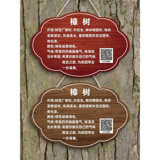 Tree tag, plant label, nameplate, garden tree name introduction, custom acrylic tree name, Arbor Day 20x15cm, preferred material, more durable