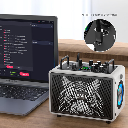 KAEM3 audio British professional electric blowpipe saxophone singing Bluetooth speaker musical instrument live broadcast portable outdoor playing and singing M3 black (portable 120W rated)