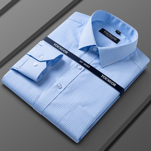 汉麻世家（HANP）雅戈尓雅戈尔男士棉长袖衬衫2025夏新款商务休闲职业正装免烫上衣 6636【星星蓝白】 XL 40 【建议135145斤】