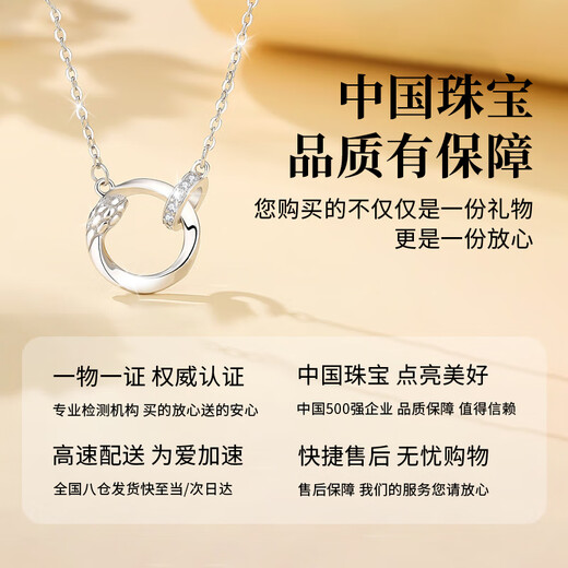 Chinese jewelry sterling silver snake double ring necklace for women 2025 new pendant anniversary birthday gift for girlfriend