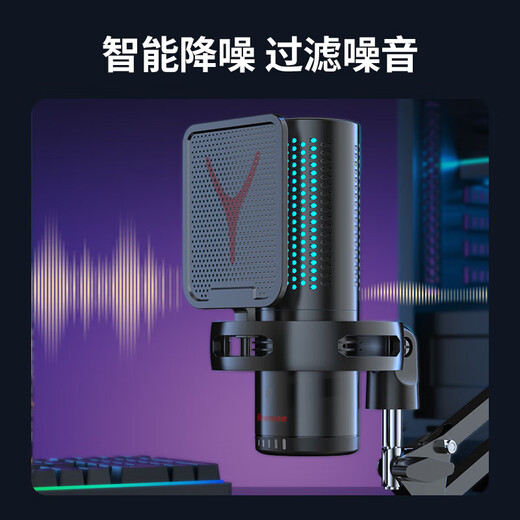 Newmine ZM09E Computer Microphone Game Live Broadcast Microphone Anchor Dedicated Desktop Microphone Desktop Laptop E-Sports Dubbing Class Recording Karaoke Noise Reduction USB Independent Microphone Upgraded Arm Suspension Version-ZM09E