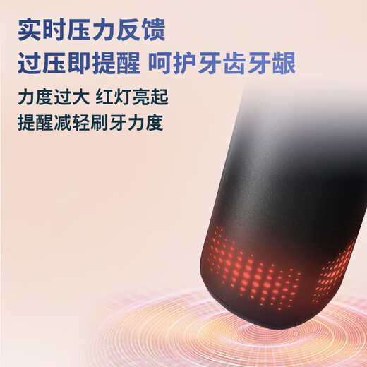 Philips (Philips) Xiao Zhans elektrischer Zahnbürste wie Sound Wave Gum Protection Erwachsener Frequenzwandler 7 Paar HX3792/3892 [Xiao Zhans gleichen wie] geschmiedetes Lichtpulver plus Sprecher