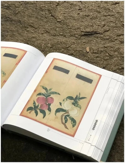 《食物本草  宫廷写本》。华夏出版社2000年出版。来自明代，发行386种食物，493张手绘图，大十二开，530页。
