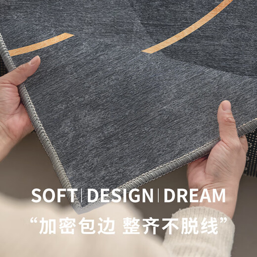 客厅地毯轻奢感免洗加厚2025可擦现代简约家用茶几地垫免 简约-1349(加厚升级款) 120cm*160cm （厂家直发同款）