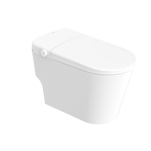 Wrigley DS Flush System Shield Bouclier Bague de siège ergonomique Stérilisation électrolytique Stérilisation Full Intelligent Toilet AKB1315-A 305/300 mm