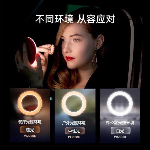 New portable make-up mirror Mini smart female handheld light-emitting vanity mirror LED fill-light mirror MOSE small leather mirror moonlight white gift box