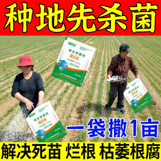 Zhonggu Nongkang (ZGNK) soil fungicide special for agricultural soil-borne diseases disinfection and sterilization soil anti-heavy crop dead seedling rot and root rot fungicide soil pathogen cleaner 1 bag small quantity is not enough