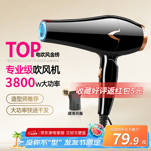 Panasonic's 3800W high-speed hair dryer, hair salon hair dryer, home silent, high-power, non-harmful blue light hair care hair dryer, quick-drying electric dryer for barber shops, black 3800W high wind, hair salon home use