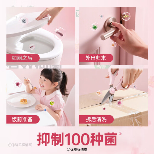 Dettol Healthy Antibacterial Hand Sanitizer, Moisturizing and Protecting, Children and Adults Family Hand Wash, Antibacterial Cleaning, Universal Special Pack, Multiple Scents, Moisturizing 250g + Green Tea 250g