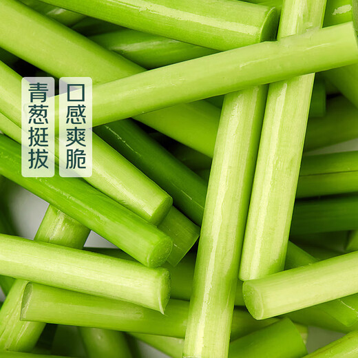 Shandong Cangshan garlic moss about 300g