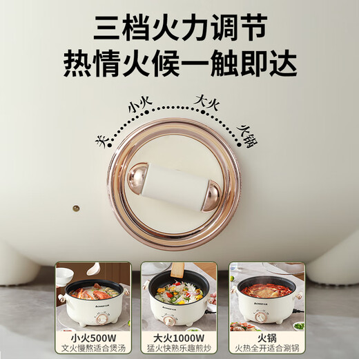 志高火锅专用锅电煮锅电火锅电热火锅宿舍学生锅电蒸锅家用多功能一体式煎炒蒸煮小电锅电炒锅小型 2L 【1人】20CM+1.5米电线