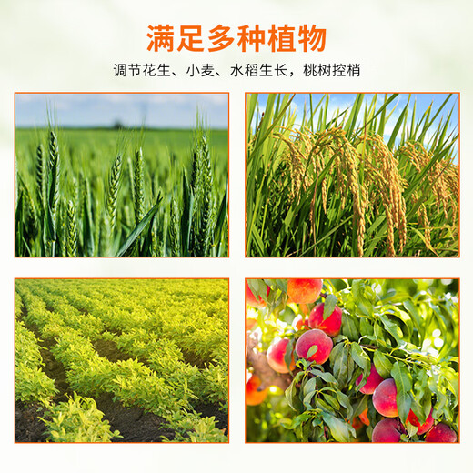 Guoguang Aixiu 30% Polyazole Methionium Lawn Hedge Dwarfing Control Plant Growth Regulator Guoguang Aixiu (Control Growth and Growth) 200g