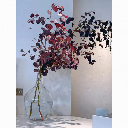 Apple eucalyptus dried flowers indoor living room office immortal flower base straight hair niche immortal apple eucalyptus leaves 100-130cm1 tied purple red