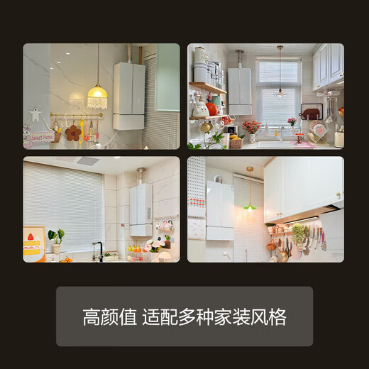 FOTILE gas water heater butterfly wing M series 16+1 liter servo constant temperature variable frequency forced exhaust type MS16T/D1 zero cold water water heater constant temperature low noise MX16T1 17L 02-MS16T1