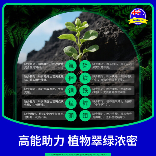 Tang Benchen Lvqing PhytoActivin to Save Yellow Leaves from Falling Leaves, Potassium Fulvic Acid, Money Tree Flower Nutrient Solution, Foliar Fertilizer, 2 bottles, 20% off for the second discount