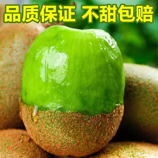 Shaanxi Meixian Xuxiang kiwi fruit 2025 new fruit picked now, sweet and juicy, bad fruit guaranteed to be compensated by JD.com Sweet and juicy 8 pieces (single fruit 60-70g)