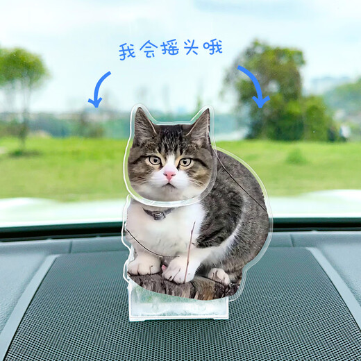 山头林村赵朔西行漫记悟空小猫咪摇头摆件网红款猫臭喵桌面车载立牌纪念款 悟空猫691[摇头摆件-现货]