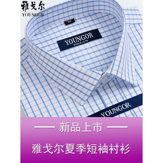 CEO雅戈尔男士短袖衬衫夏季棉免烫中年休闲商务职业正装格子衬衣服 短袖DX6629 39