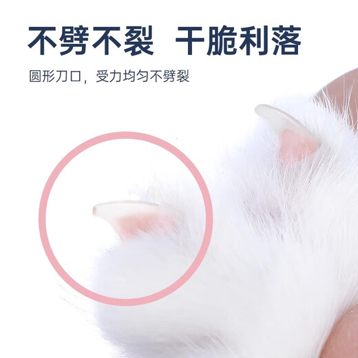 Crazy owner cat nail scissors LED round hole scissors for beginners special pet nail clippers without blind cutting kitten nail clippers blue