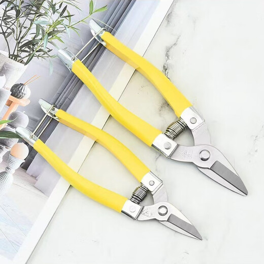 An Junsheng A-grade Luoding fruit scissors, medium yellow, small yellow and thin fruit scissors, garden scissors, stainless steel fruit picking scissors, orange pruning pruning, vegetable and fruit scissors, small size - yellow Luoding fruit picking scissors