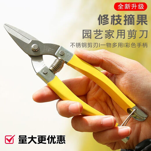 An Junsheng A-grade Luoding fruit scissors, medium yellow, small yellow and thin fruit scissors, garden scissors, stainless steel fruit picking scissors, orange pruning pruning, vegetable and fruit scissors, small size - yellow Luoding fruit picking scissors