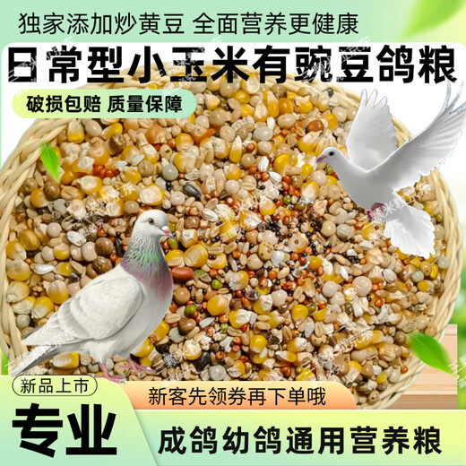 New pigeon food 20 Jin Jin is equal to 0.5 kg. Corn-free pigeon food has corn. Pigeon feed racing nutrition. Pigeon food for adult and young pigeons. 5 Jin Jin is equal to 0.5 kg. Pigeon food with corn and peas. 10 Jin Jin is equal to 0.5 kg.