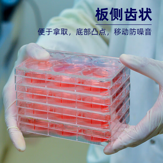 Corning Corning Cell Culture Plate 6 puits 12 puits 24 puits 48 puits 96 puits avec couvercles 1 Corning 352424 puits