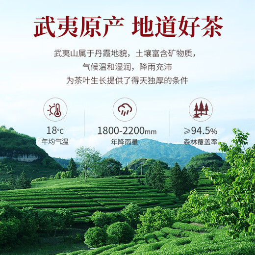 Xiaowen’s Tea Oolong Tea Jindian Wuyi Rock Tea Cinnamon Level 50g Medium-fire Canned Loose Tea is convenient for self-drinking